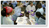 Cochard and first year anatomy lab