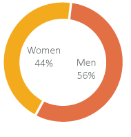 pie chart - faculty gender ratio