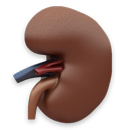 kidney