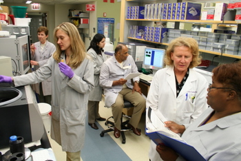 Researchers working together