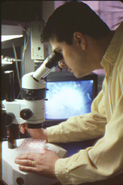 Researcher at microscope