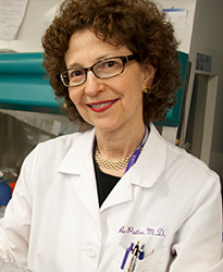 Seth Corey, MD, MPH