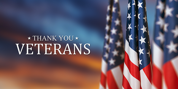 "Thank You Veterans" text across an American flag in the night sky