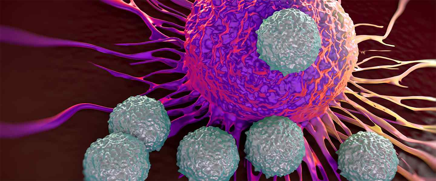 Cancer_Immunotherapy_1440x600.jpg