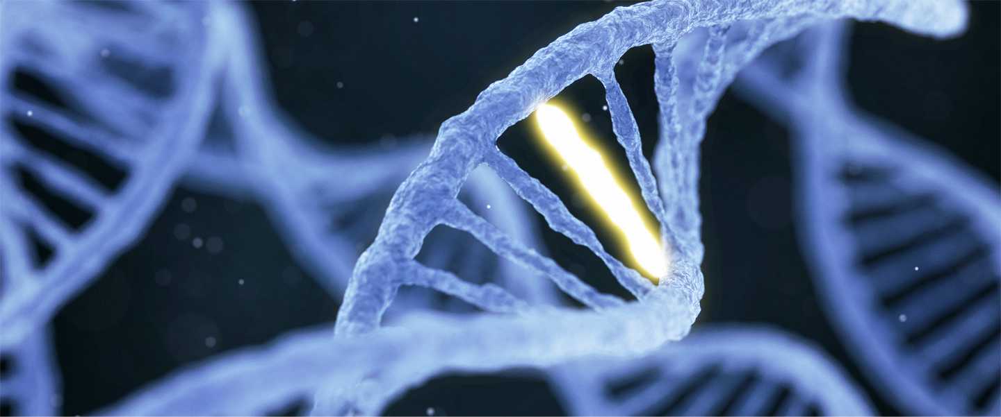 DNA_1440x600.jpg