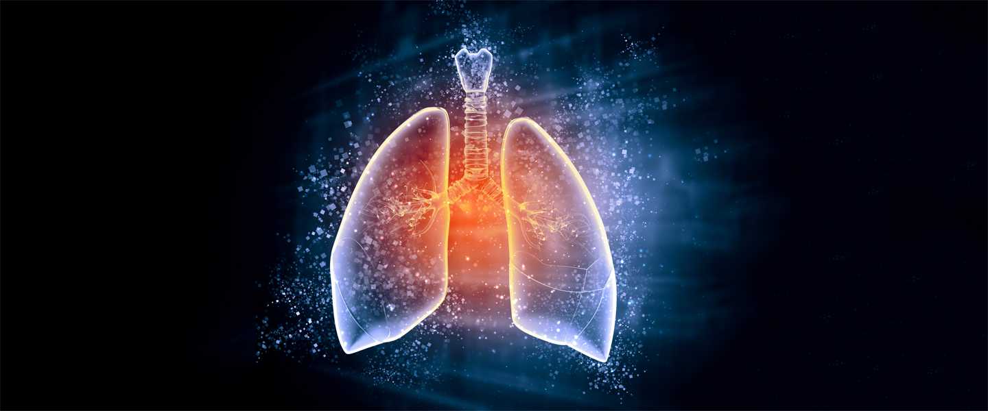 Lungs_1440x600.jpg