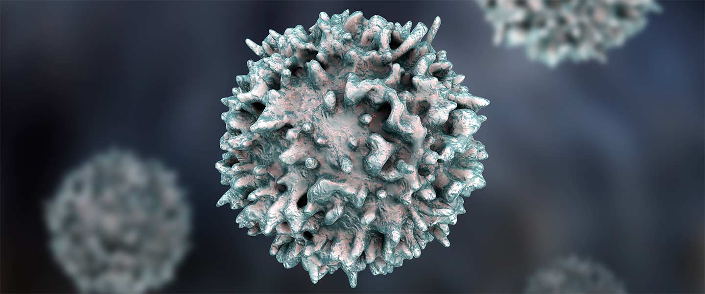 b-cell-cancer-1440x600.jpg