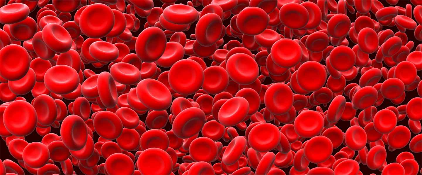 blood-cells-1440x600.jpg