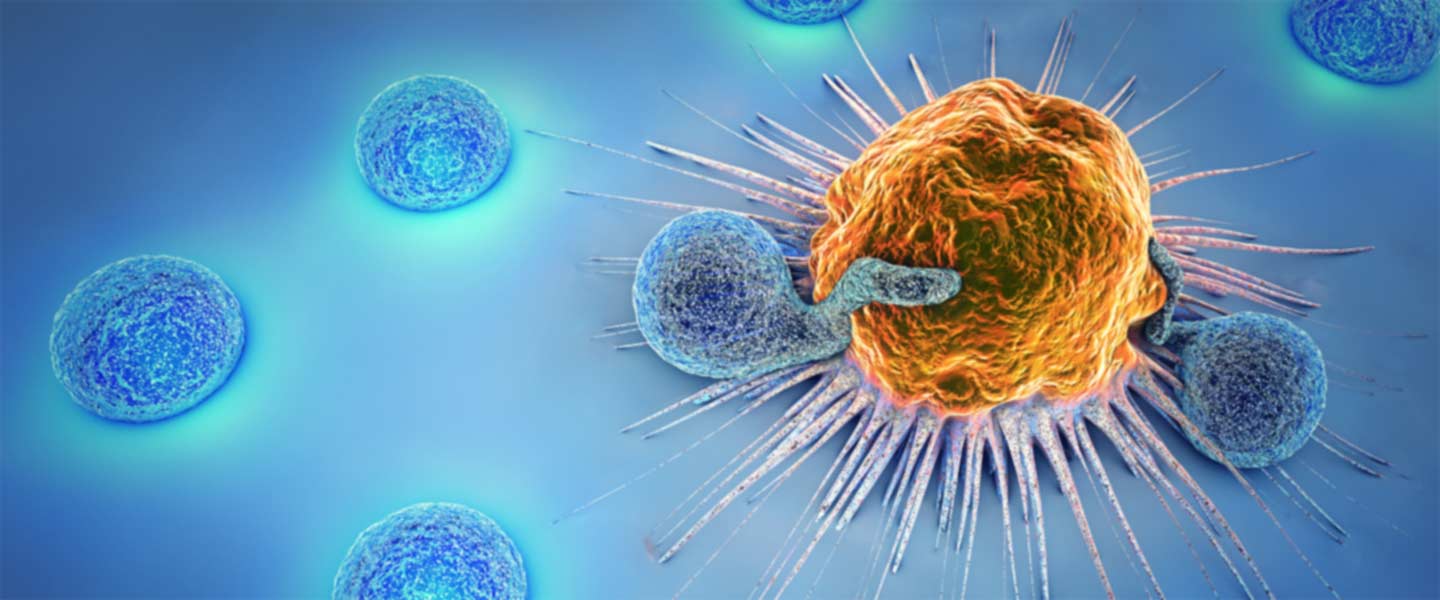 cancer-cell-1440x600.jpg