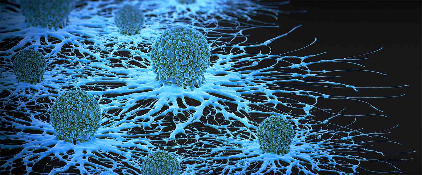 cancer_cells_blue_1440x600.jpg