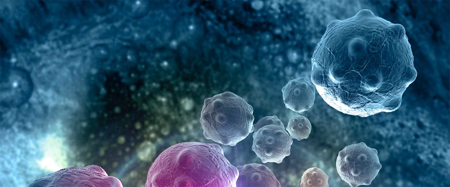 cancercells_1440x600.jpg
