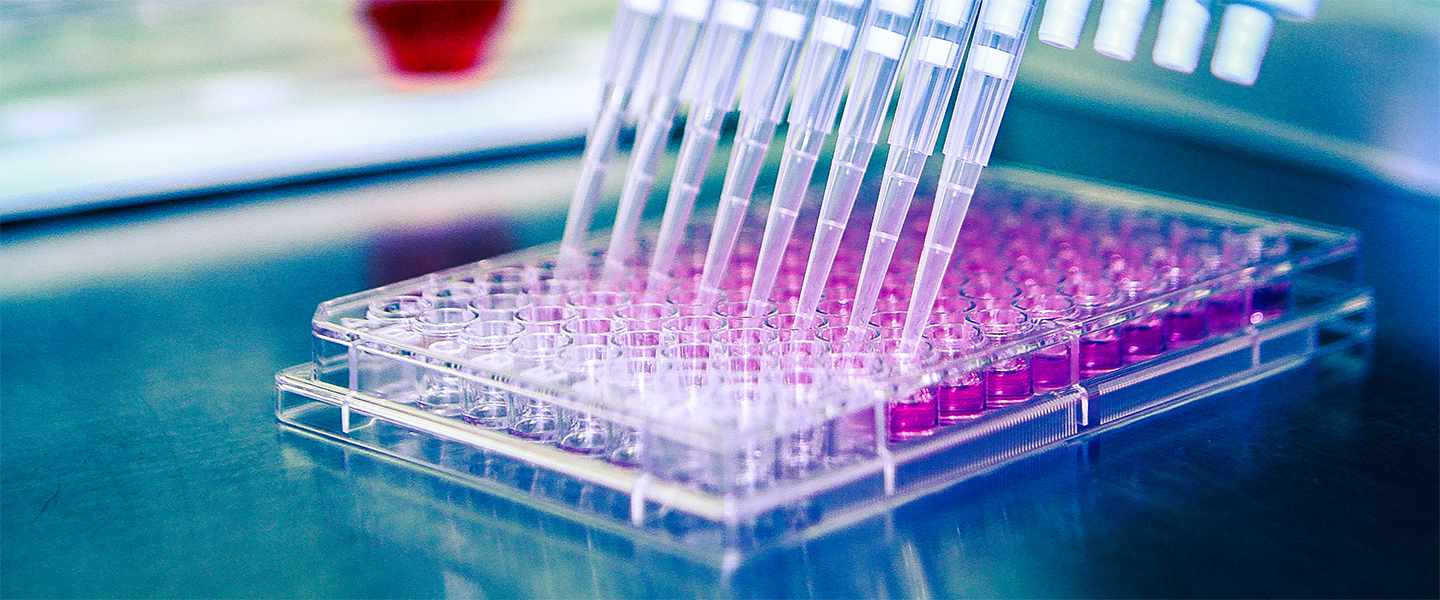 drugdiscovery_1440x600.jpg
