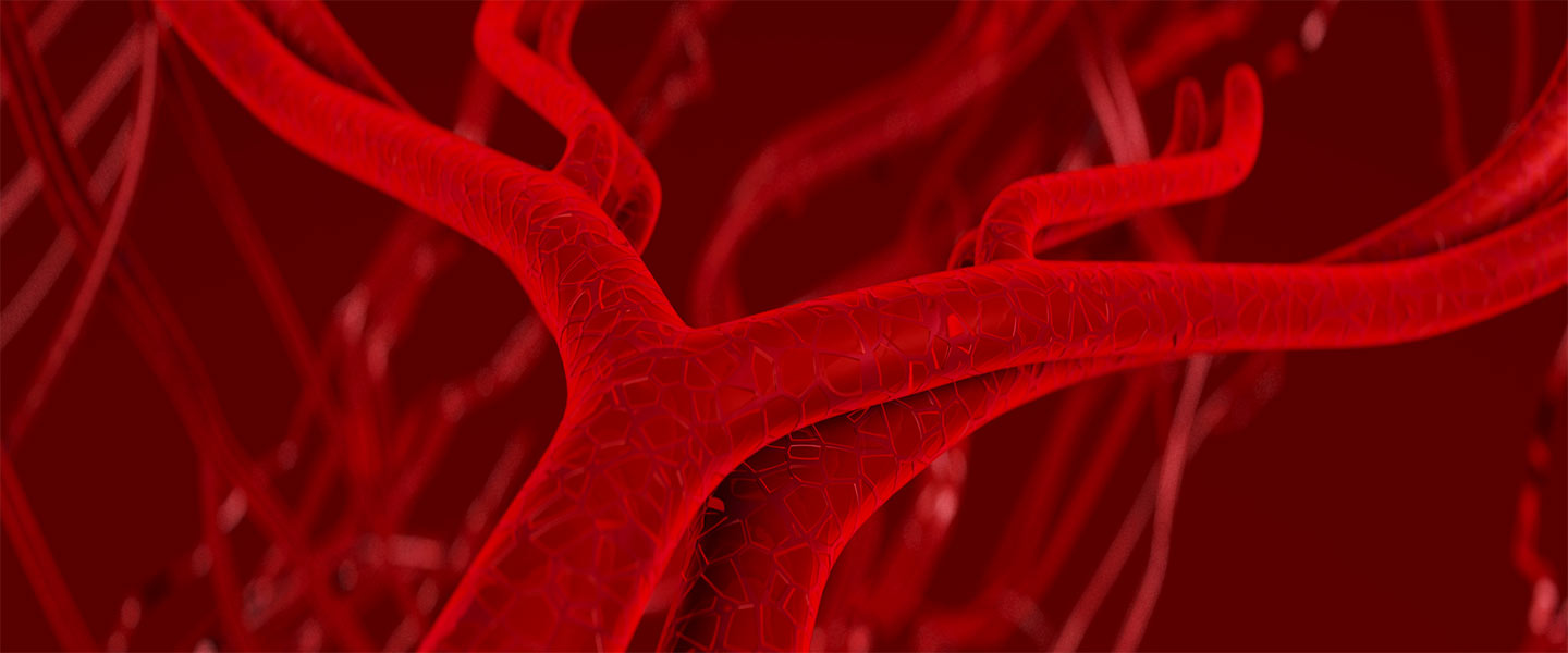 heart-vessels-1440x600.jpg