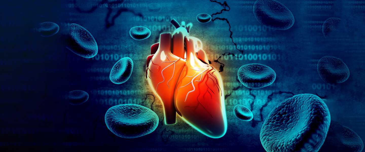 heart_cells_1440x600.jpg