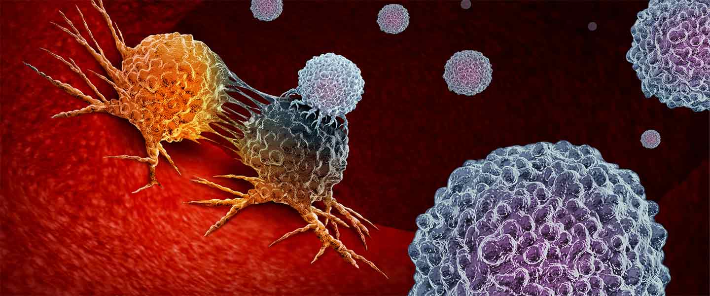 immune-therapy-cancer-cells-1440x600.jpg