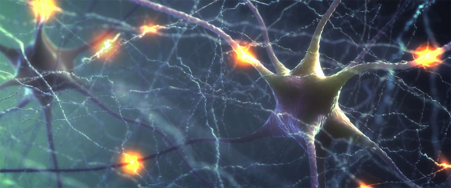 nerve_cells_1440x600.jpg
