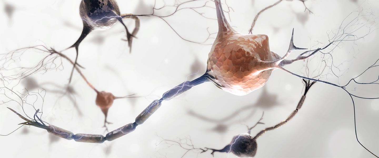 neuron-brain-focus-1440x600.png.jpg