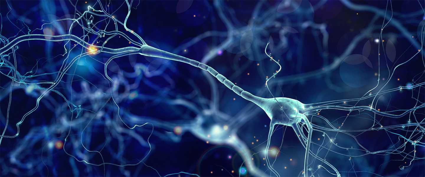 neuron_reward_1440x600.jpg