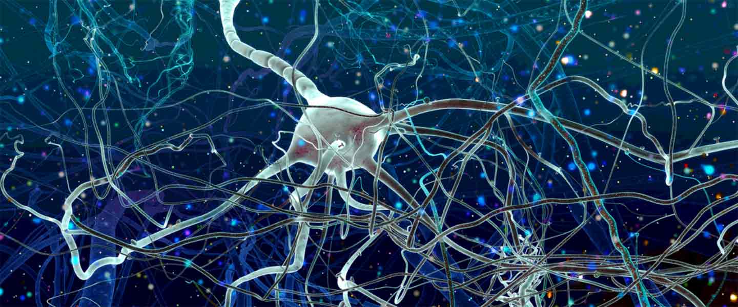 neurons-network-1440x600.jpg