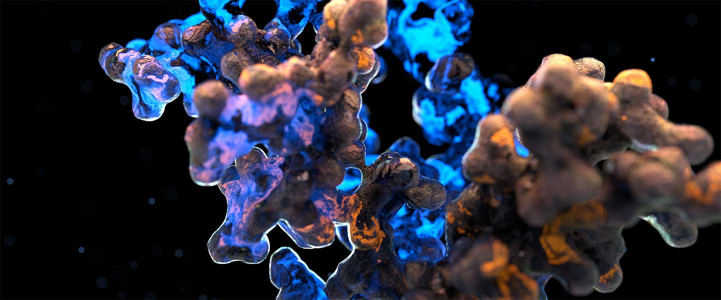 protein-detail-1440x600.jpg
