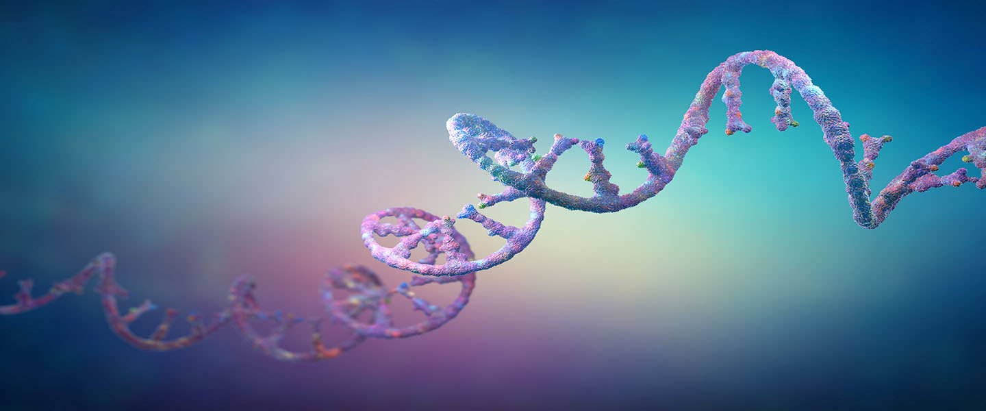 rna-1440x600.jpg