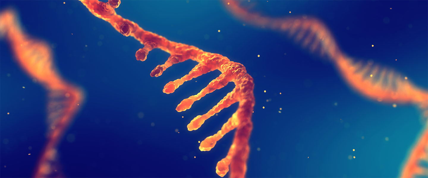 rna-sequence-1440x600.jpg