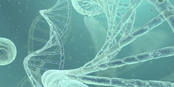 RNA Editing Technique Treats Severe Form of Muscular Dystrophy