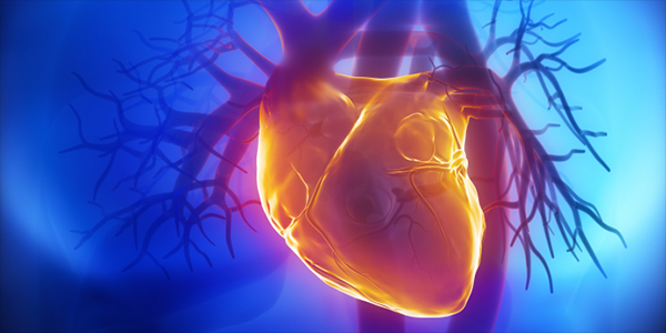 Examining Optimal Dosage for Heart Failure Drug