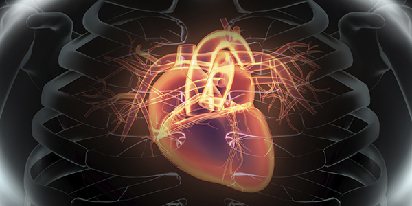 Evaluating an Alternative to Open-Heart Surgery