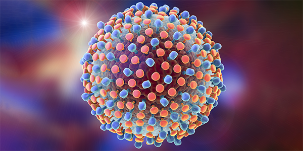 Antiviral Drug Prevents Recurrence of Hepatitis C in Liver Transplant Patients