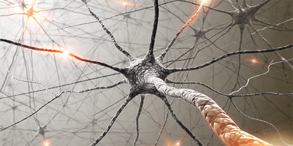 Scientists Discover Novel Mechanism Underlying Neurological Disorders
