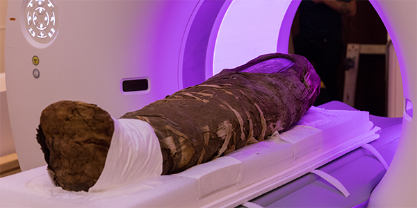 Northwestern Explores Mummy’s Secrets With Particle Accelerator