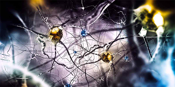 Early Synaptic Dysfunction Found in Parkinson’s Disease