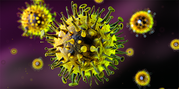 Exploring the Mechanisms of Poxvirus Replication