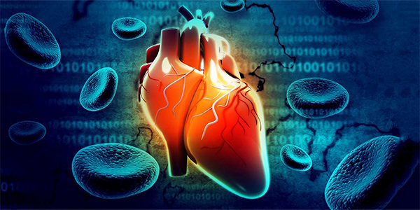 New Advances in Heart Failure Treatment