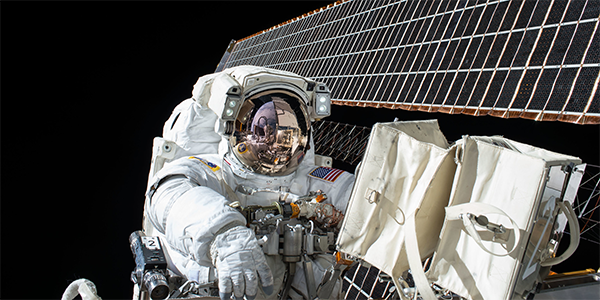 NASA Twins Study: Gut Microbiome Shifts During Spaceflight