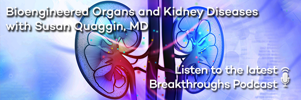Bioengineered Organs and Kidney Diseases with Susan Quaggin, MD