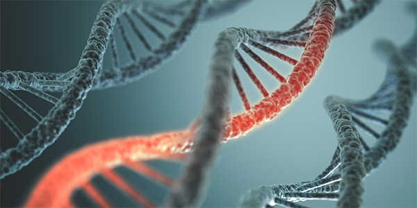 New Epigenetic Regulation of Cancer Uncovered