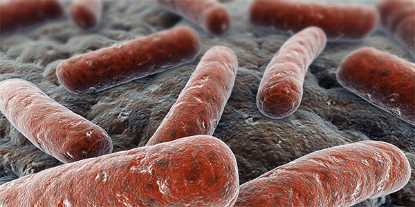 Using Genomics to Understand the Severity of Bacterial Infections