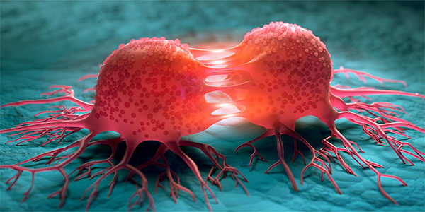 Novel Drug Improves Survival in Advanced Prostate Cancer