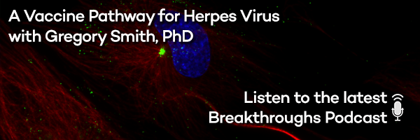 A Vaccine Pathway for Herpes Virus with Gregory Smith, PhD