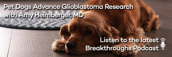 Pet Dogs Advance Glioblastoma Research with Amy Heimberger, MD