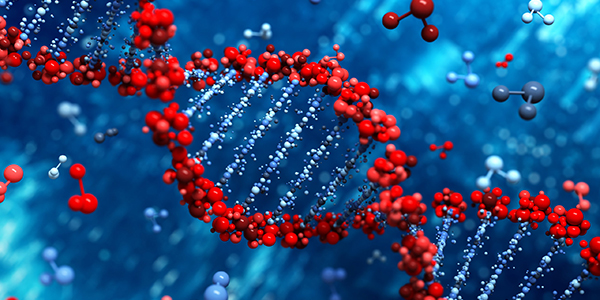Epigenetic Biomarkers Predict CVD Risk