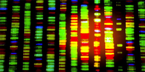 Genetic Testing for Epilepsy Improves Patient Outcomes