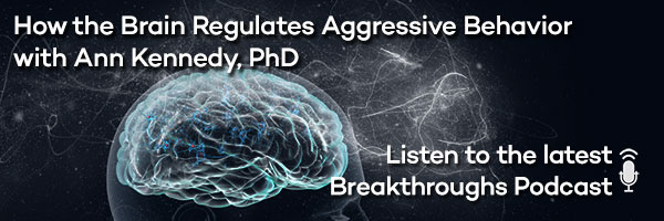 How the Brain Regulates Aggressive Behavior with Ann Kennedy, PhD