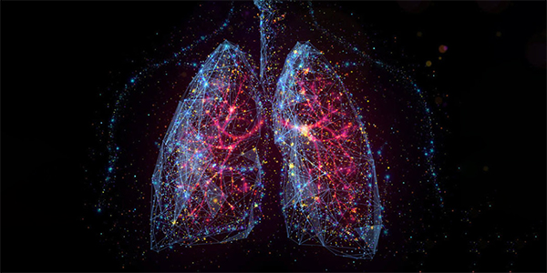 Largest Cell Map of Human Lung Reveals Insights Into Disease