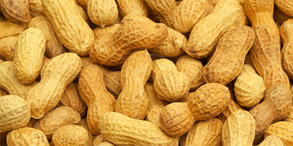 ‘Peanut Patch’ May Help Desensitize Allergic Toddlers