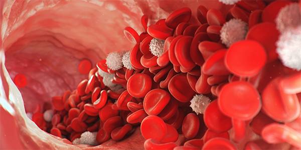 Study Identifies Mechanisms Driving Immune Cell Recruitment During Inflammation
