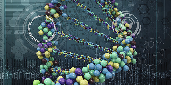 Study Discovers Novel DNA Transcription Elongation Region