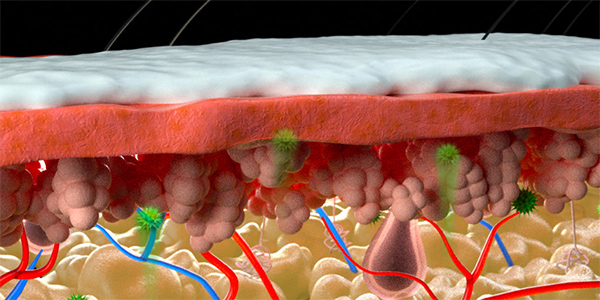 ‘Super Melanin’ Heals Skin Injuries From Sunburn, Chemical Burns